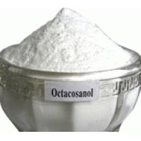 Octacosanol Policosanol - Herbal Extracts